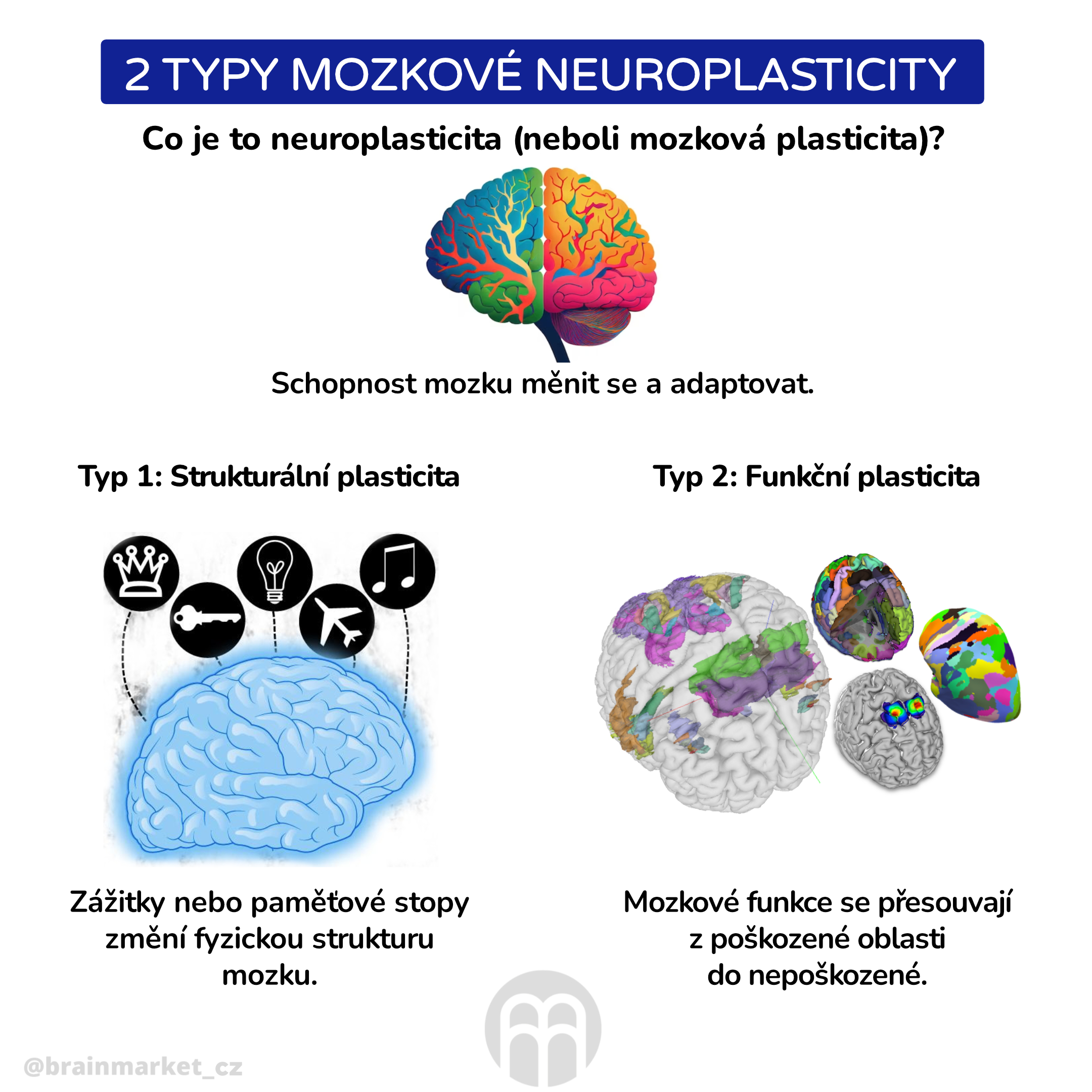 2 typy mozkové neuroplasticity _inforgafika_cz